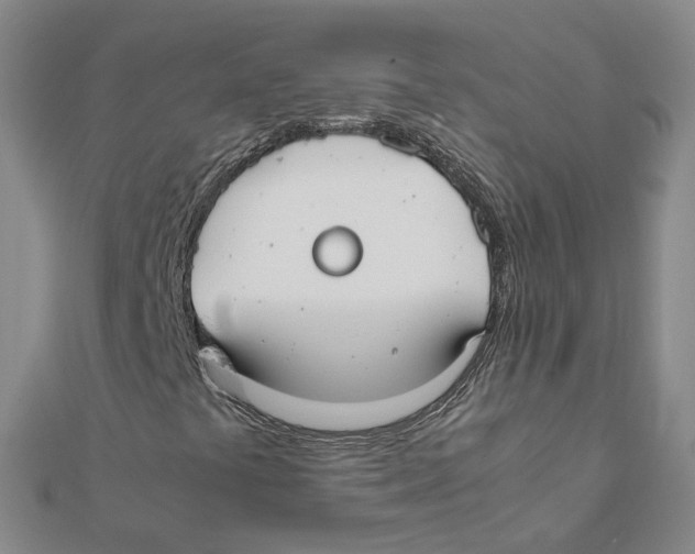 X0000111501441200908111236