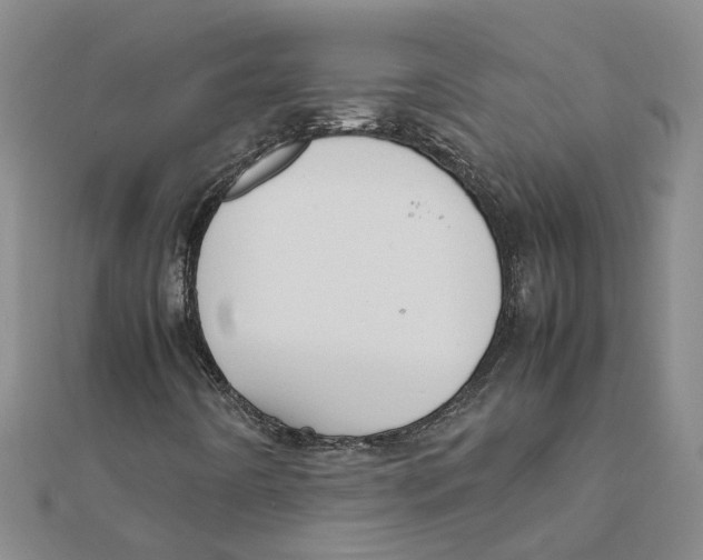 X0000111501442200908111236