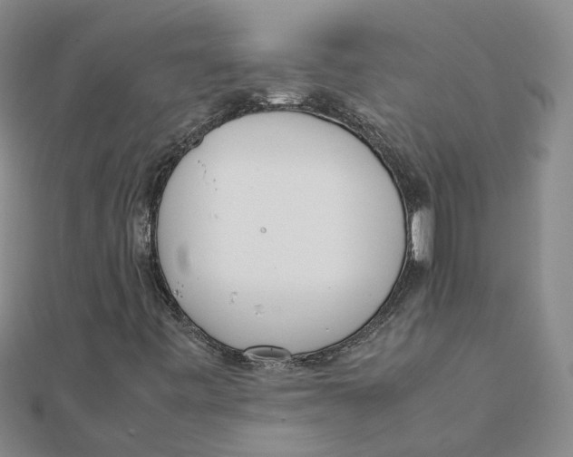 X0000111501443200908111236