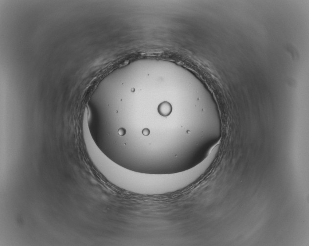 X0000111501445200908111236