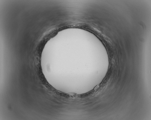 X0000111501447200908111236