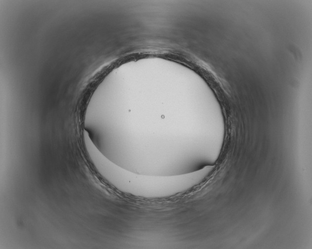 X0000111501448200908111236