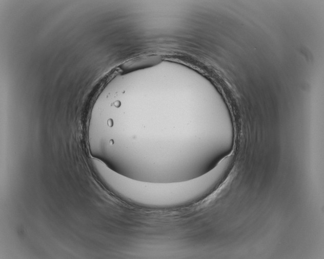 X0000111501449200908111236