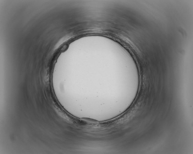 X0000111501450200908111236