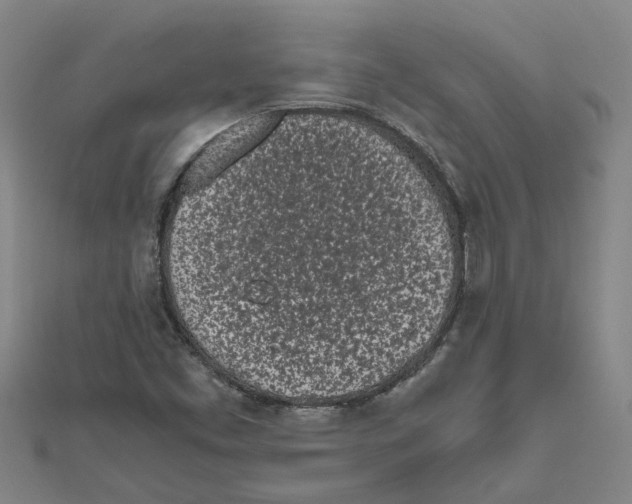 X0000111501453200908111236