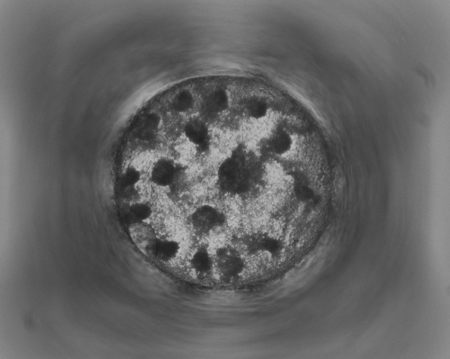 X0000111501455200908111236