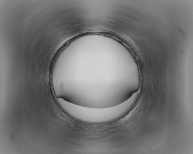 X0000111501457200908111236