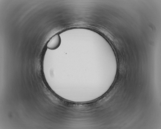 X0000111501458200908111236