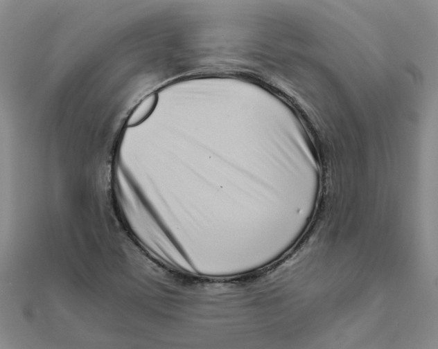 X0000111501459200908111236