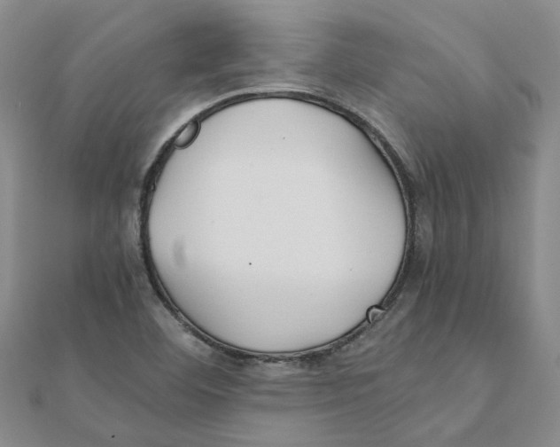 X0000111501460200908111236