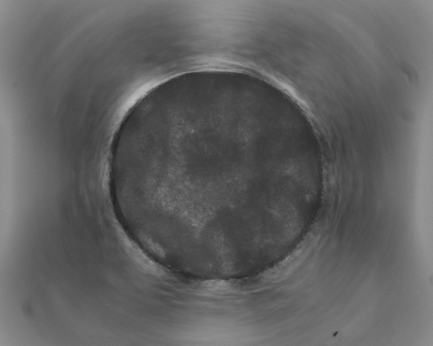 X0000111501463200908111236