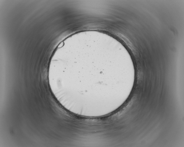 X0000111501465200908111236