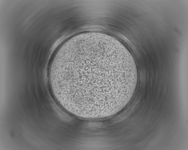 X0000111501466200908111236