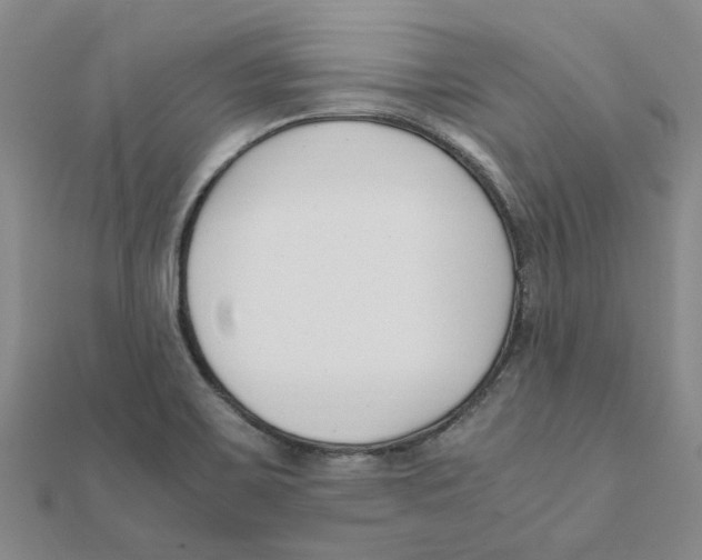 X0000111501467200908111236