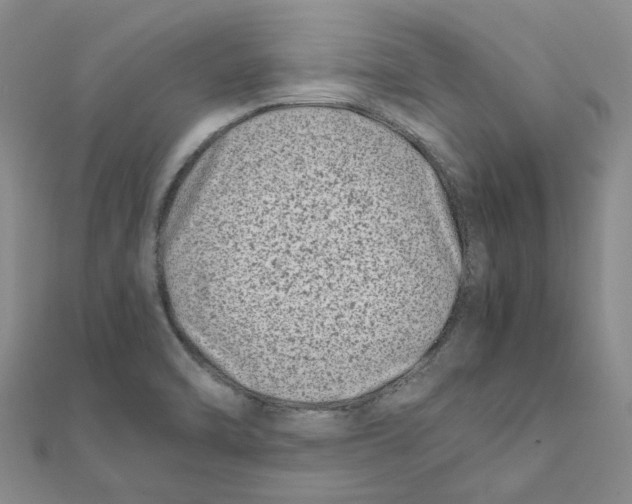 X0000111501470200908111235