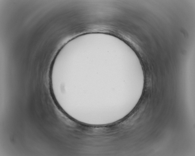 X0000111501471200908111235