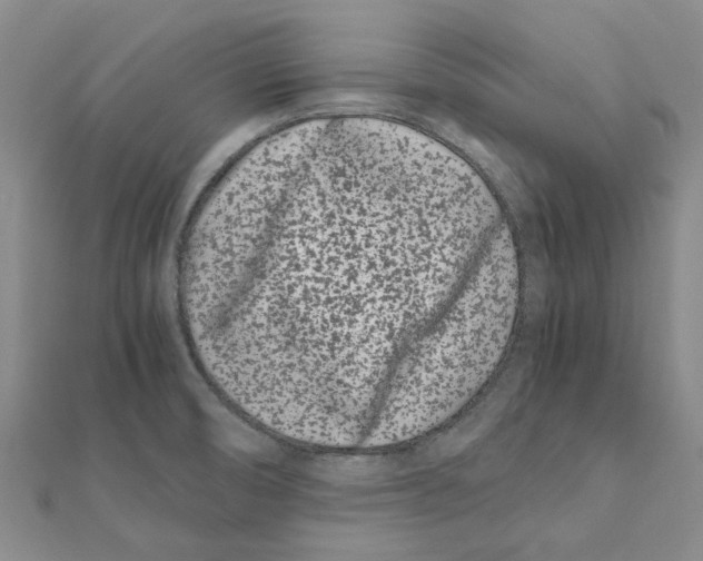 X0000111501474200908111235