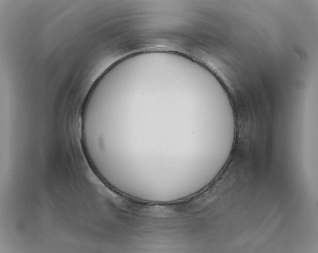 X0000111501476200908111235