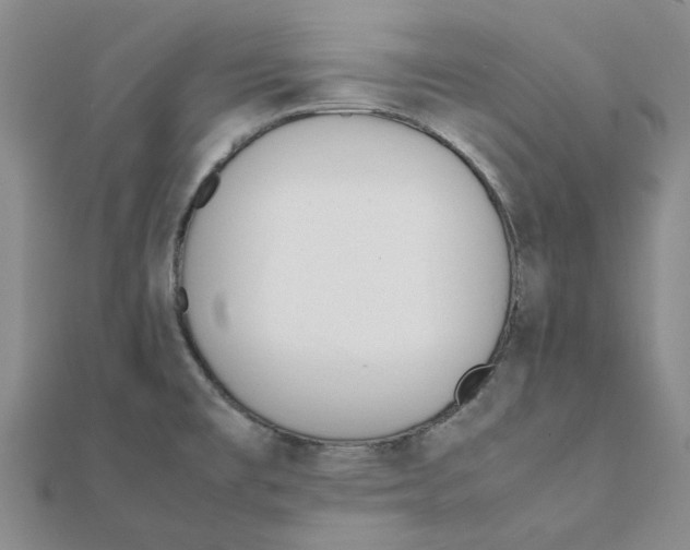 X0000111501477200908111235