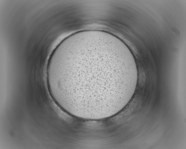 X0000111501478200908111235