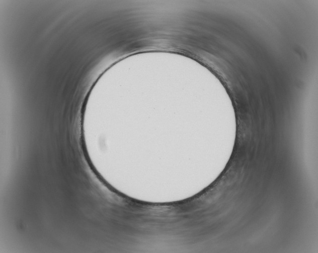 X0000111501479200908111235