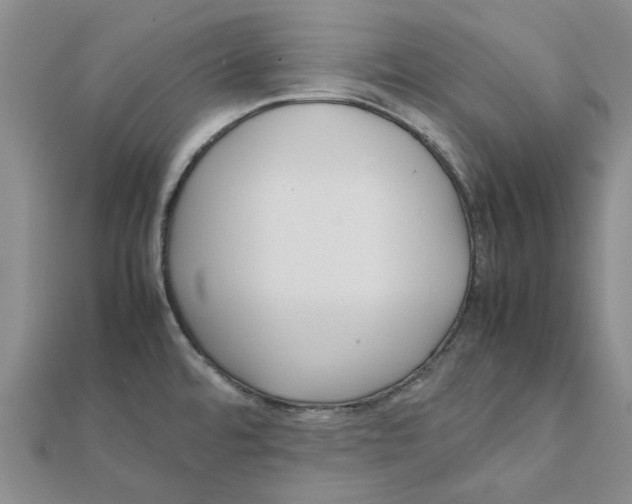 X0000111501480200908111235