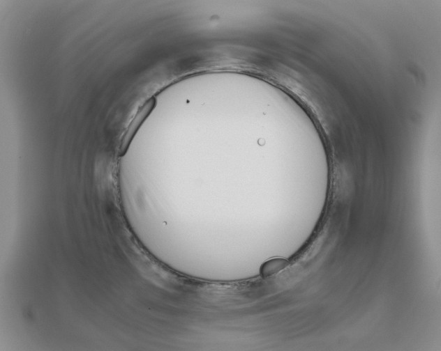 X0000111501481200908111235