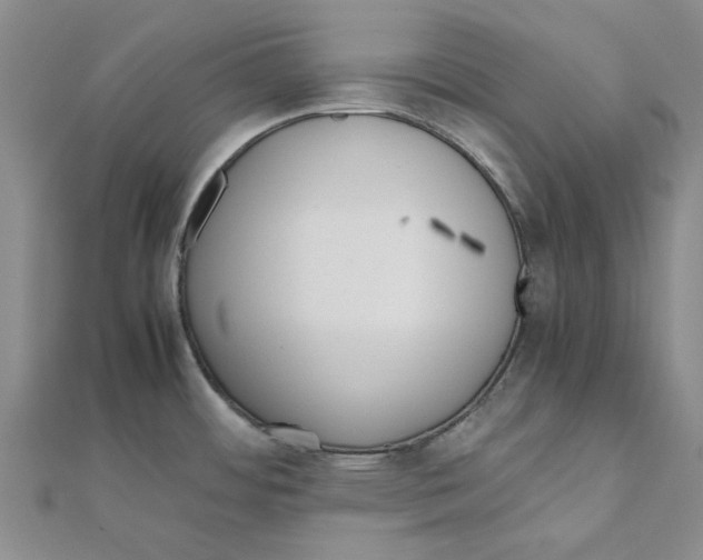 X0000111501484200908111235