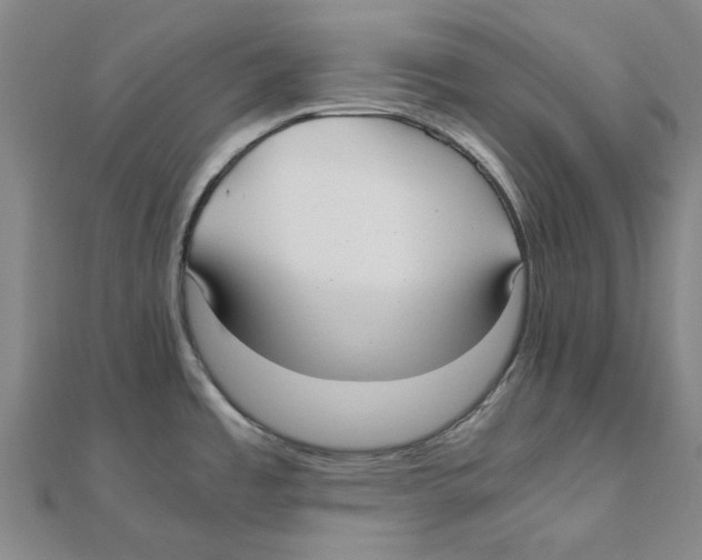 X0000111501485200908111235