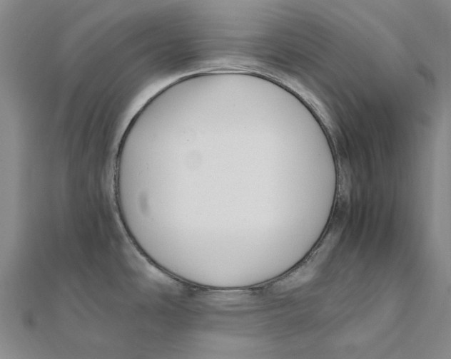 X0000111501486200908111235