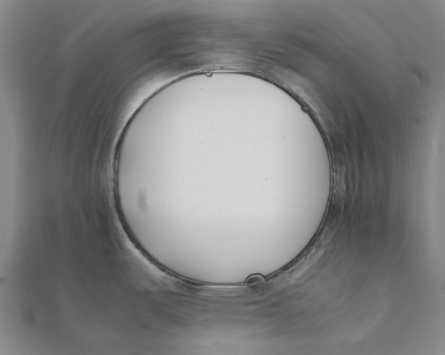 X0000111501487200908111235