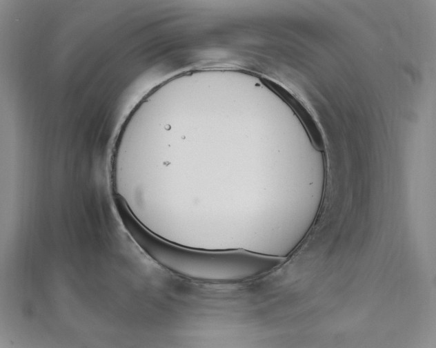 X0000111501488200908111235