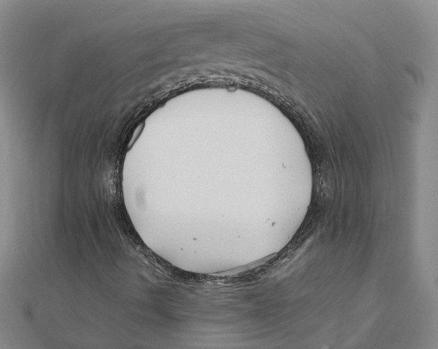 X0000111501490200908111234