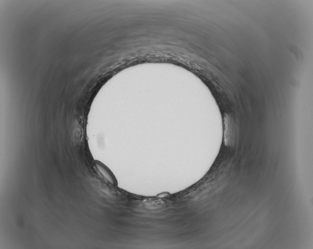 X0000111501491200908111234