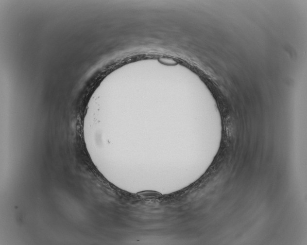 X0000111501495200908111235