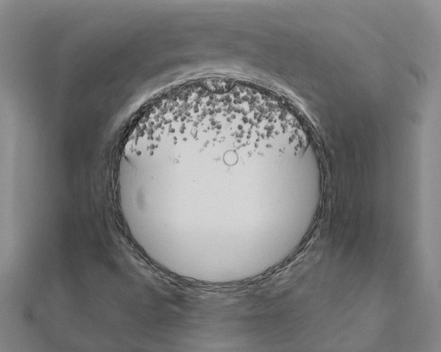 X0000111501496200908111235