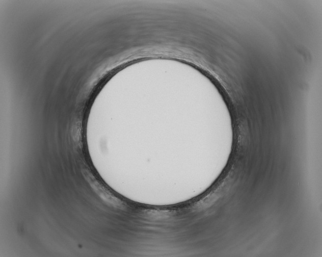 X0000111501499200908111235