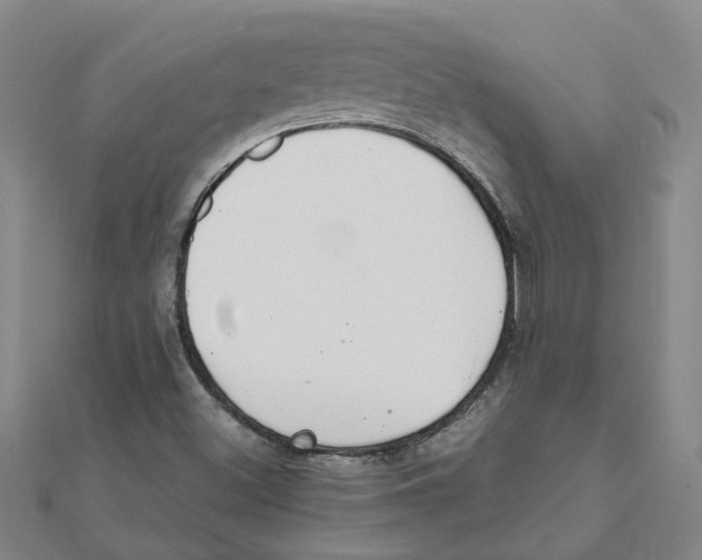 X0000111501500200908111235