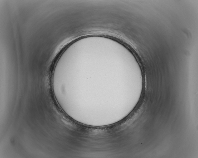 X0000111501501200908111235