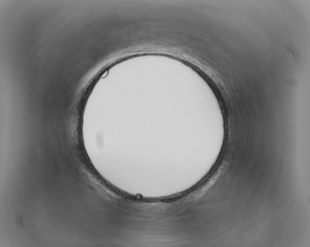 X0000111501502200908111235