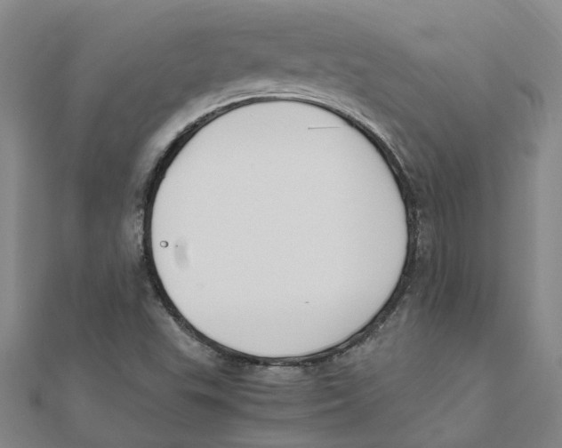 X0000111501503200908111235