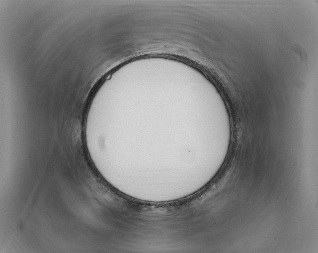 X0000111501505200908111235