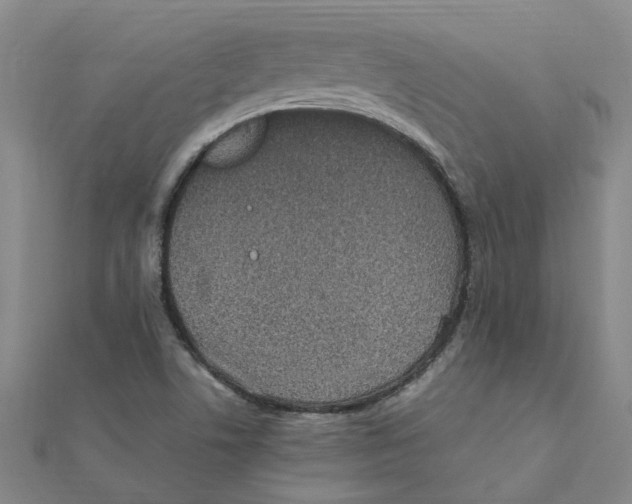 X0000111501506200908111235