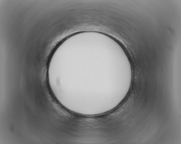 X0000111501507200908111235