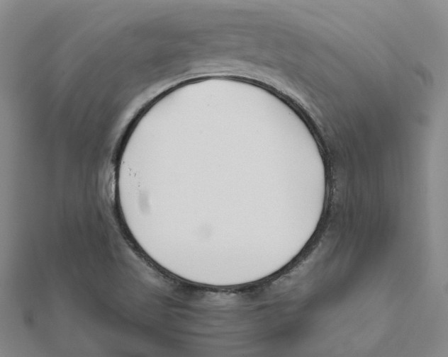 X0000111501509200908111235