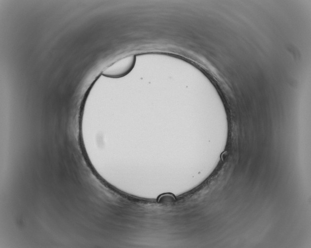 X0000111501512200908111235