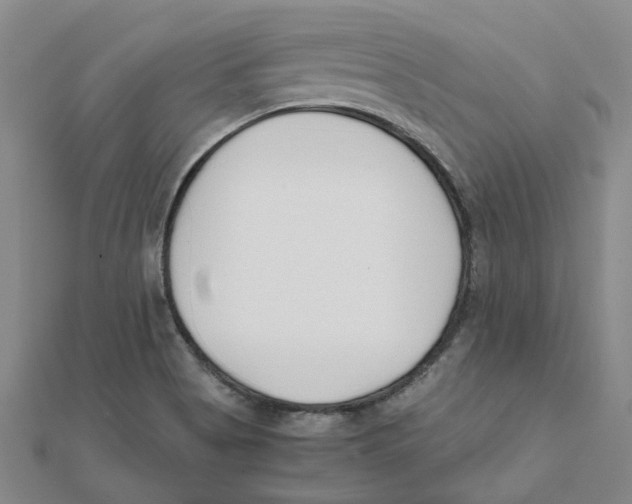 X0000111501513200908111235