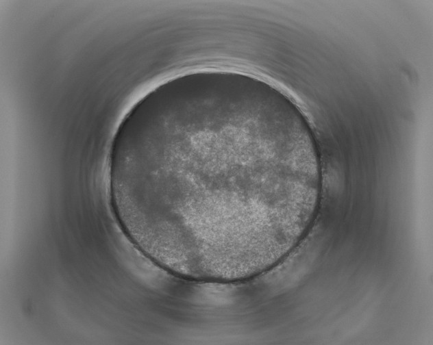 X0000111501514200908111235