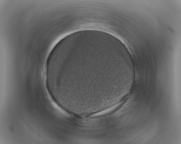 X0000111501515200908111235