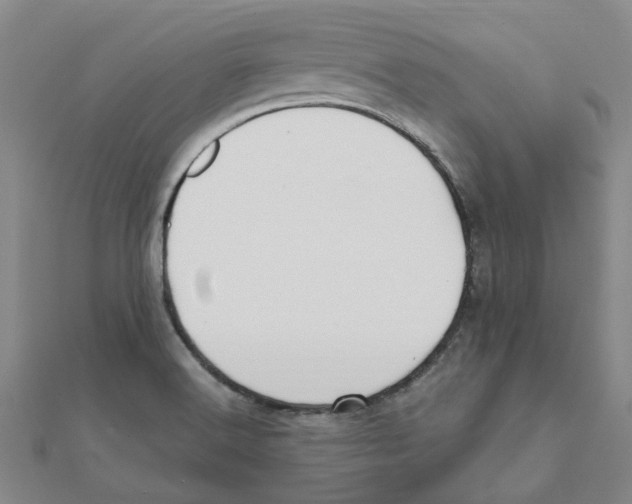 X0000111501516200908111235